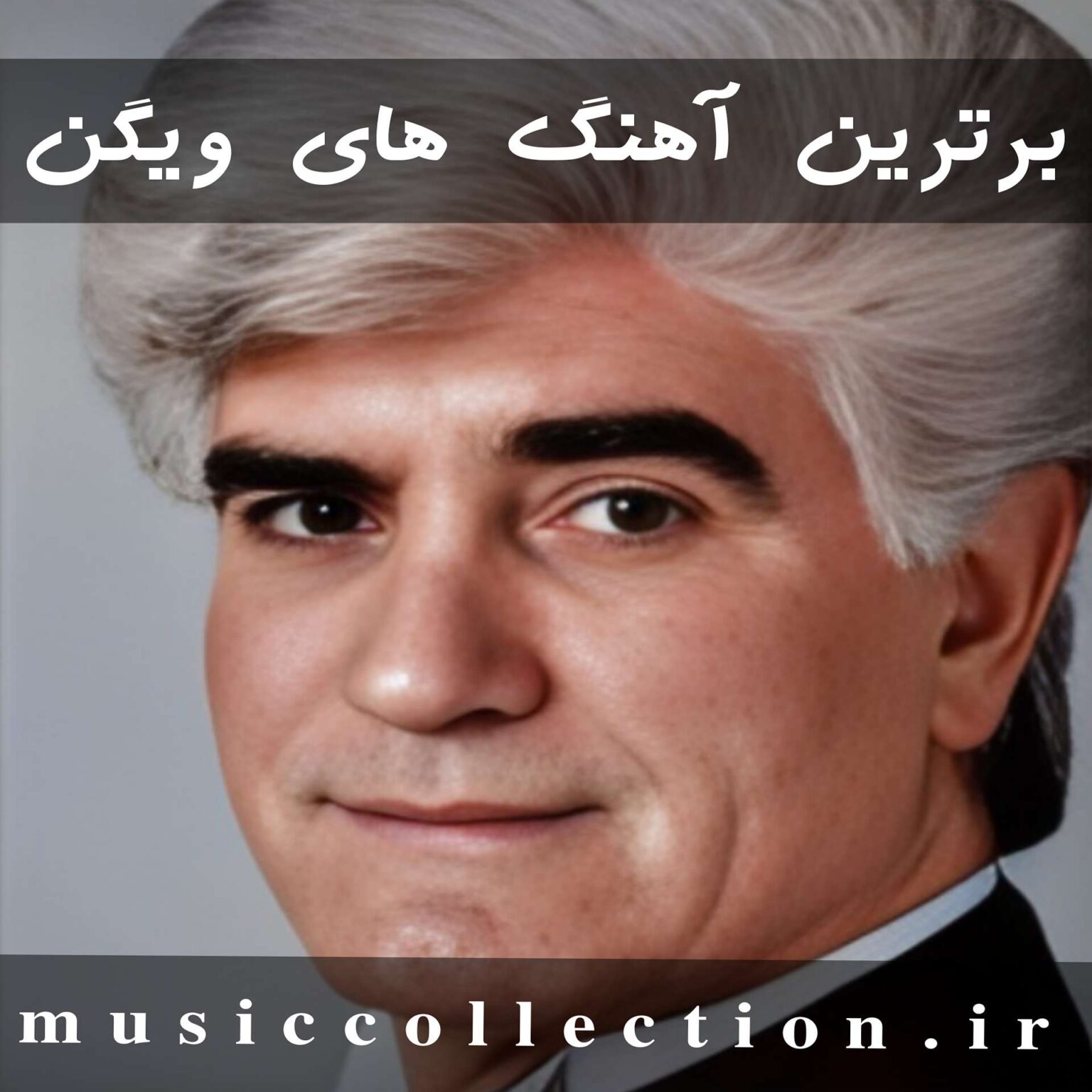دانلود پلی لیست آهنگ های خاطره ساز ویگن