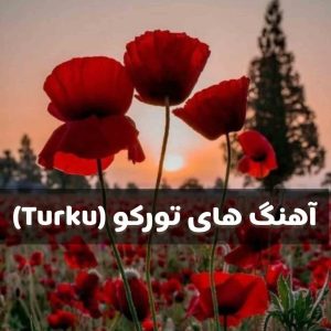 دانلود آهنگ های جدید و قدیمی تورکو (Turku)